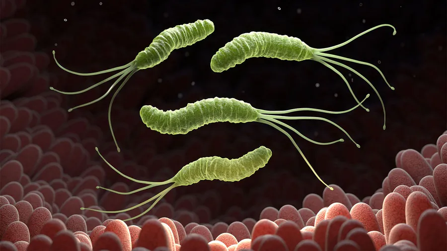 1 in 8 cancers worldwide is caused by an infection — and most are preventable