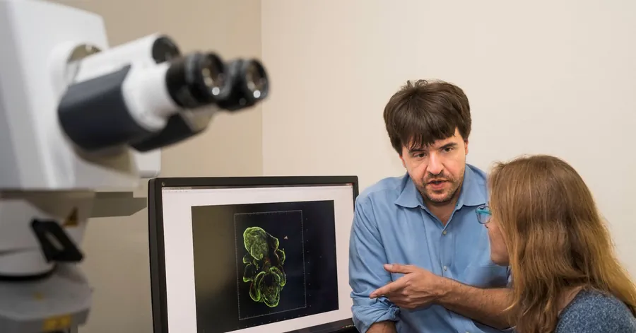 Nobel Prize in Medicine awarded for optogenetics — the brain-controlling power of light