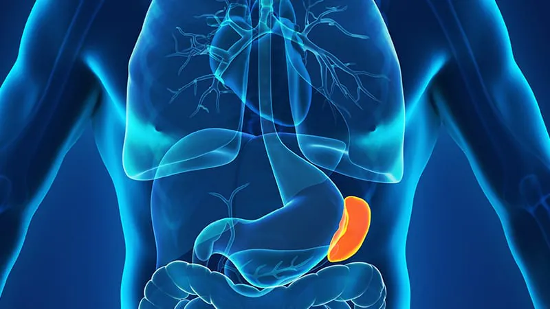 A simple spleen stiffness test could spare thousands of unnecessary endoscopies
