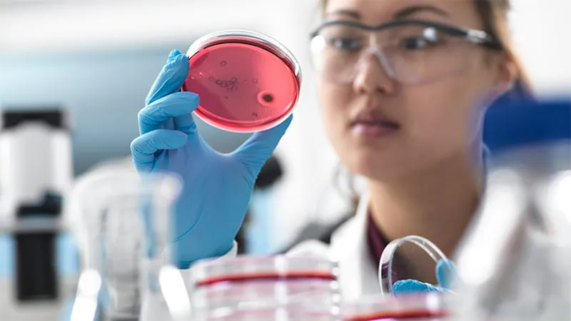 Delayed antibiotics don't raise death risk in drug-resistant bloodstream infections