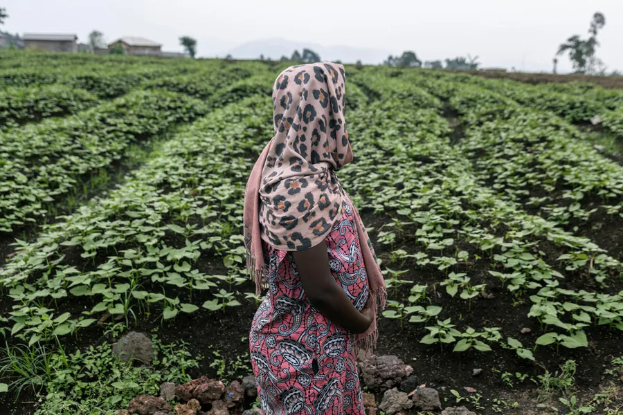 43 million adolescent girls affected by violence globally, new WHO analysis reveals