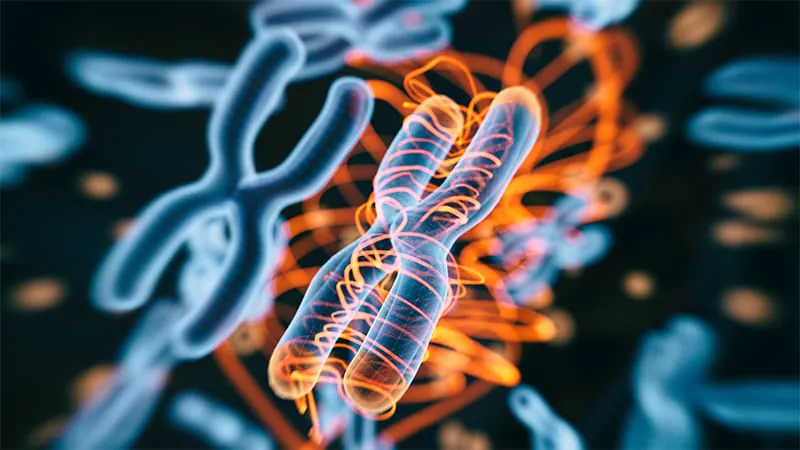 The great chromosome miscounting: how science got it wrong for 30+ years