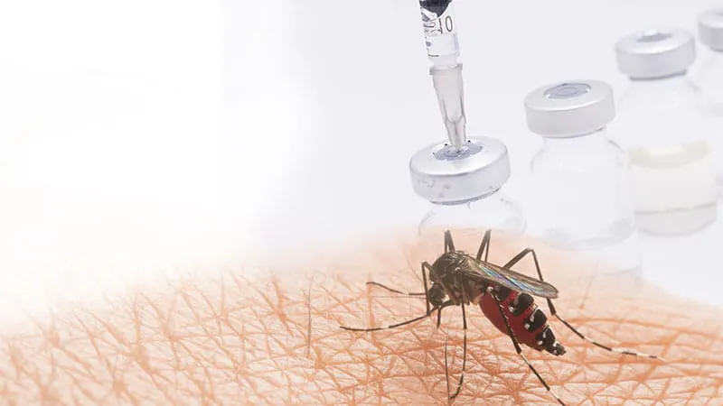Florida's dengue surge is spreading north — and the US has no vaccine to fight it