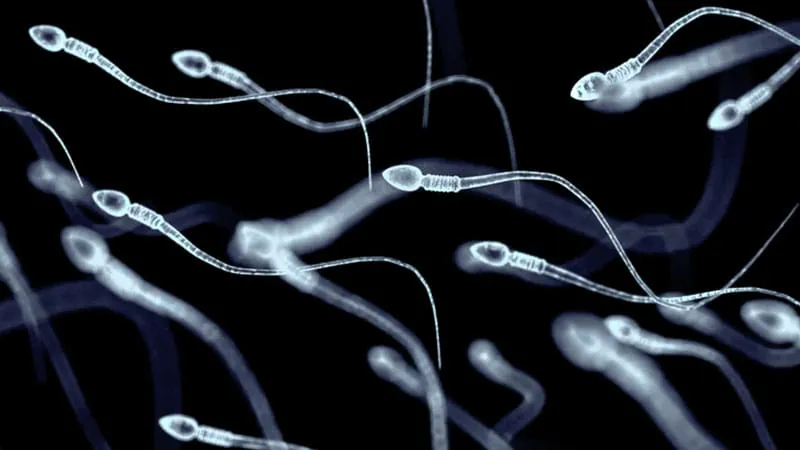 The male microbiome may be a missing piece in the fertility puzzle