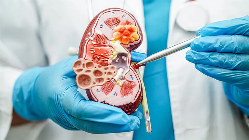 Aggressive blood pressure control cuts heart risk — but watch your kidneys