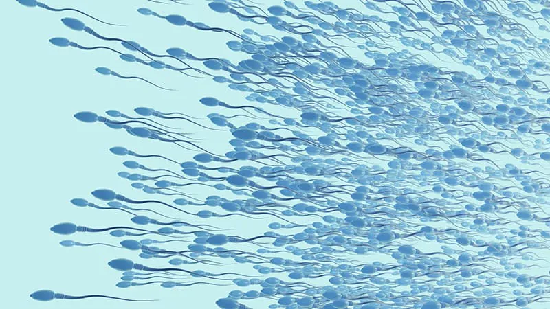 Lab-grown sperm inches closer to reality with stem cell breakthrough