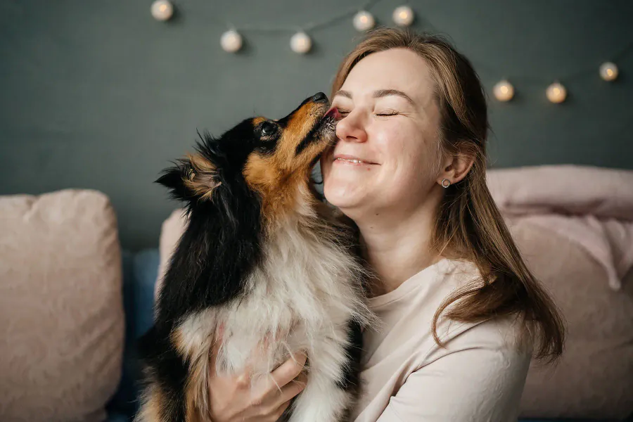 Your dog could be making you sick — and it's not just from bites