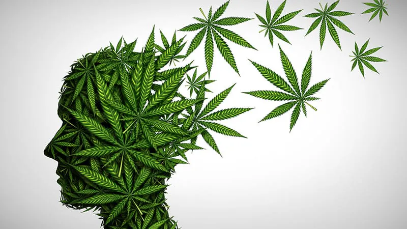 Cannabis use more than doubles the risk of bipolar disorder, major meta-analysis finds