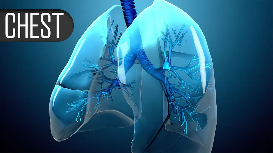 New sleep apnea pill shows stronger results in postmenopausal women