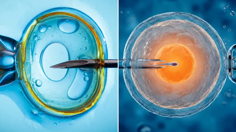 IVF and childhood cancer: A real link, but a very small risk