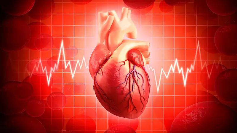 Interatrial shunt holds up at 2 years — but safety depends on heart failure type