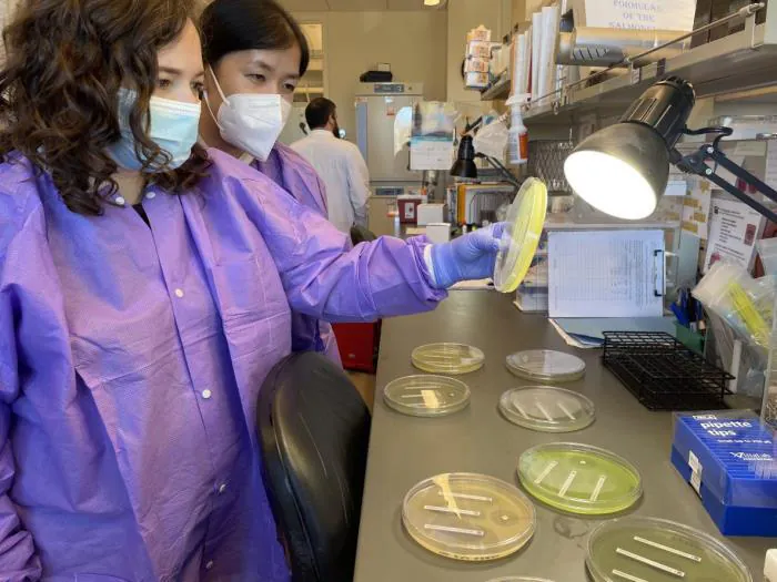 Drug-resistant infections are surging — and the CDC's new numbers are alarming