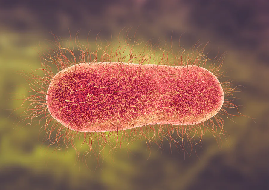 A go-to antibiotic for typhoid fever is failing US patients