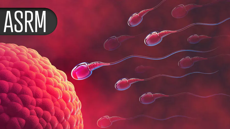 IVF beats IUI for speed, but both paths lead to similar outcomes