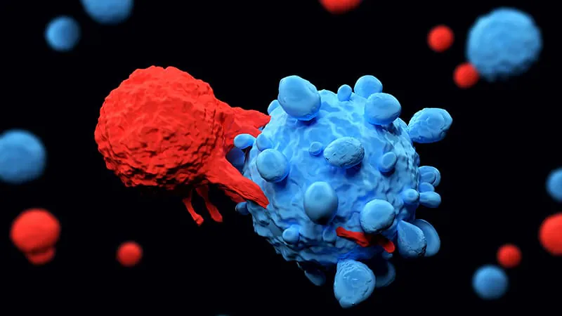 Spacing out immunotherapy backfires — trial halted after surge in patient deaths