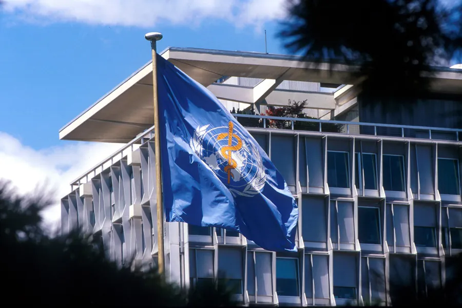 Seven candidates vie for the WHO's top job