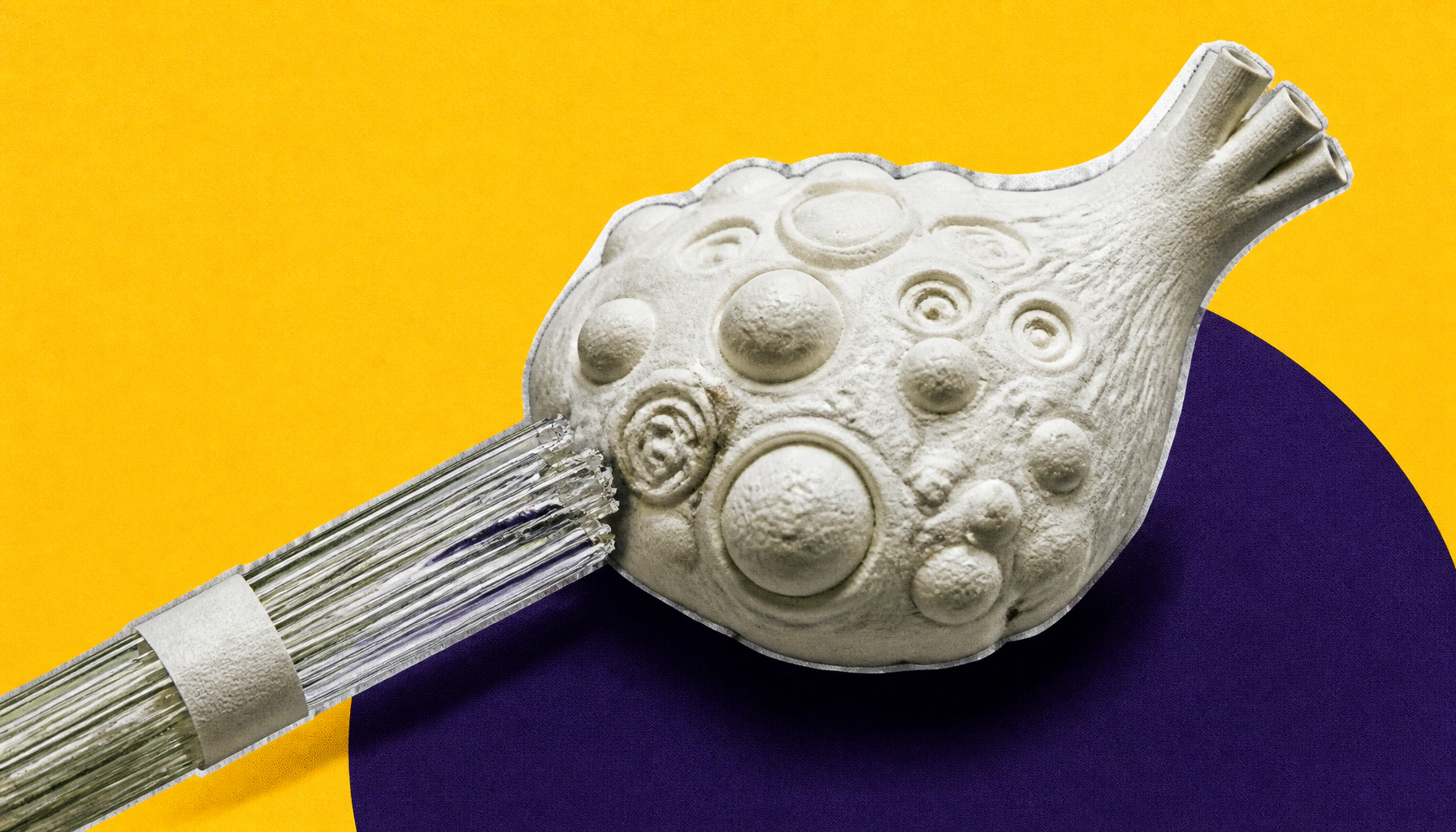 Scientists uncover a hidden key to female fertility — and it's all about microtubules