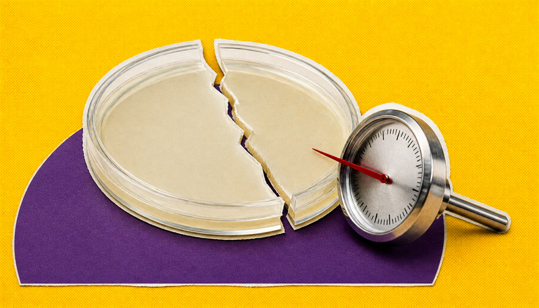 A smarter playbook for phage therapy could reshape the fight against antibiotic resistance