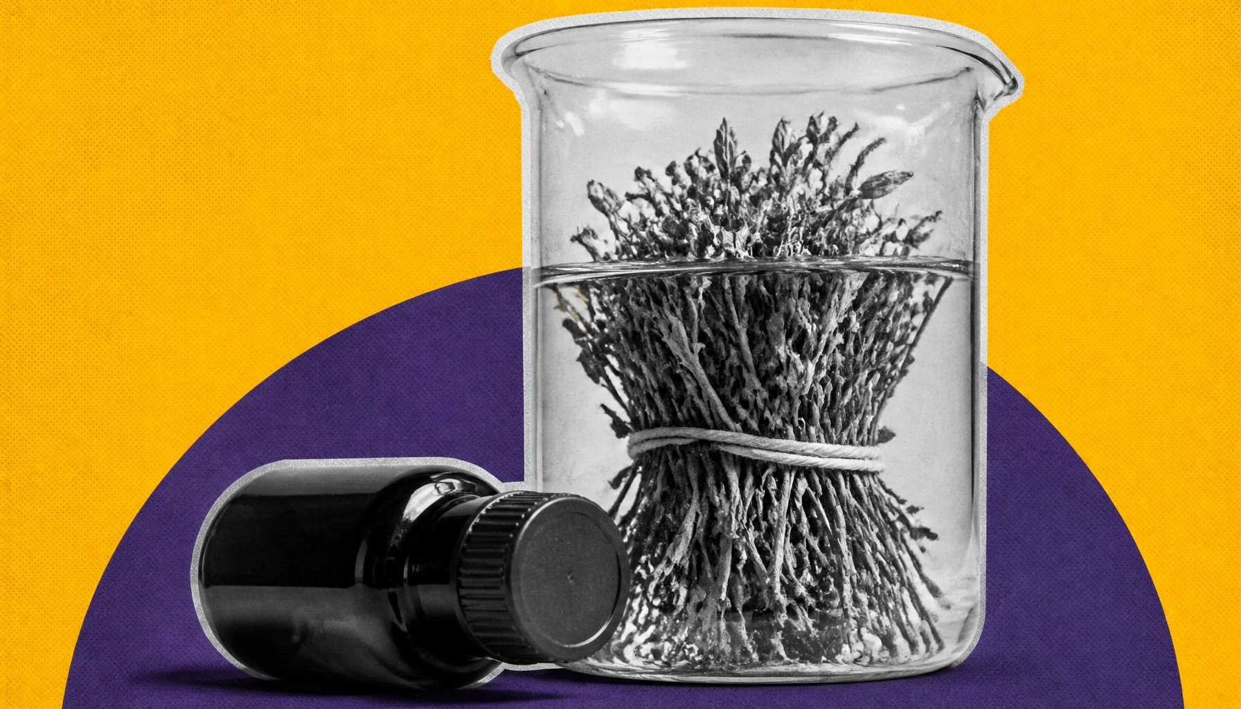 How you brew it matters: herbal medicine's hidden antiviral ingredient depends on manufacturing method