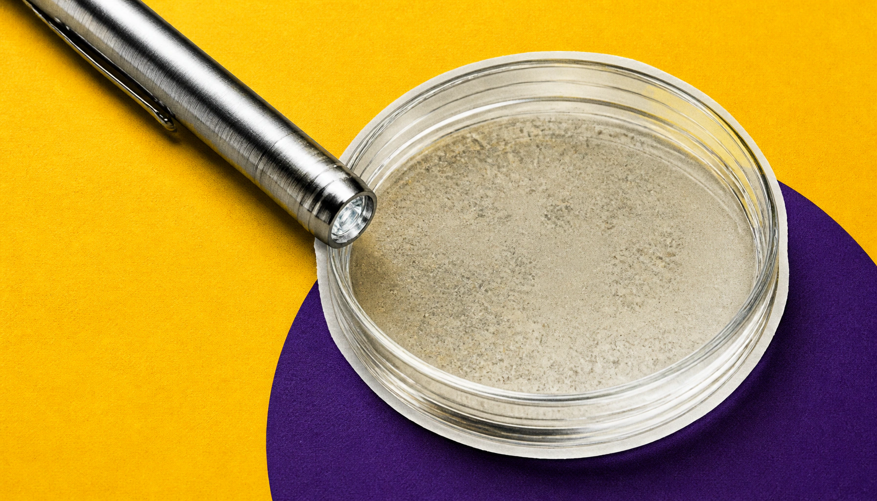 A light-activated "switch" could wake dormant cancer cells and make them treatable again