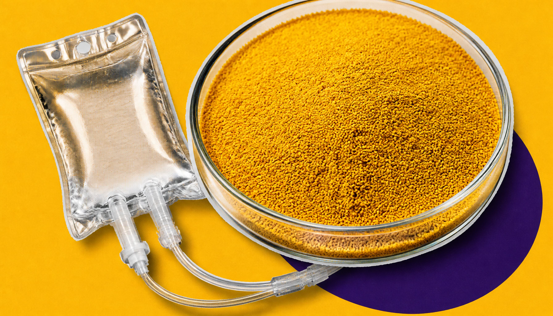 Rye pollen's hidden cancer-fighting molecules finally decoded after 30 years