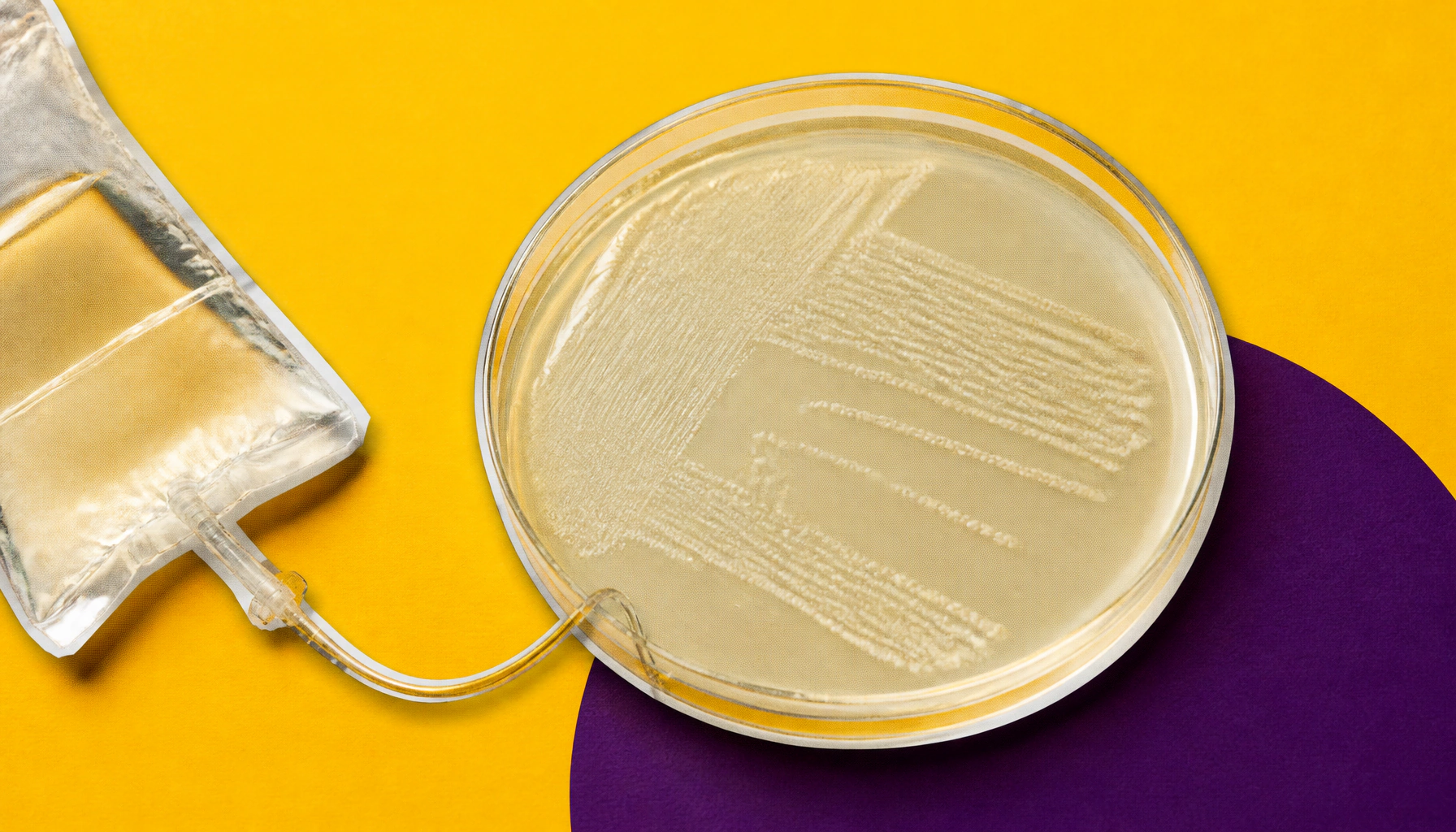 Bacteria's drug-making secrets unlocked — and it could transform cancer treatment