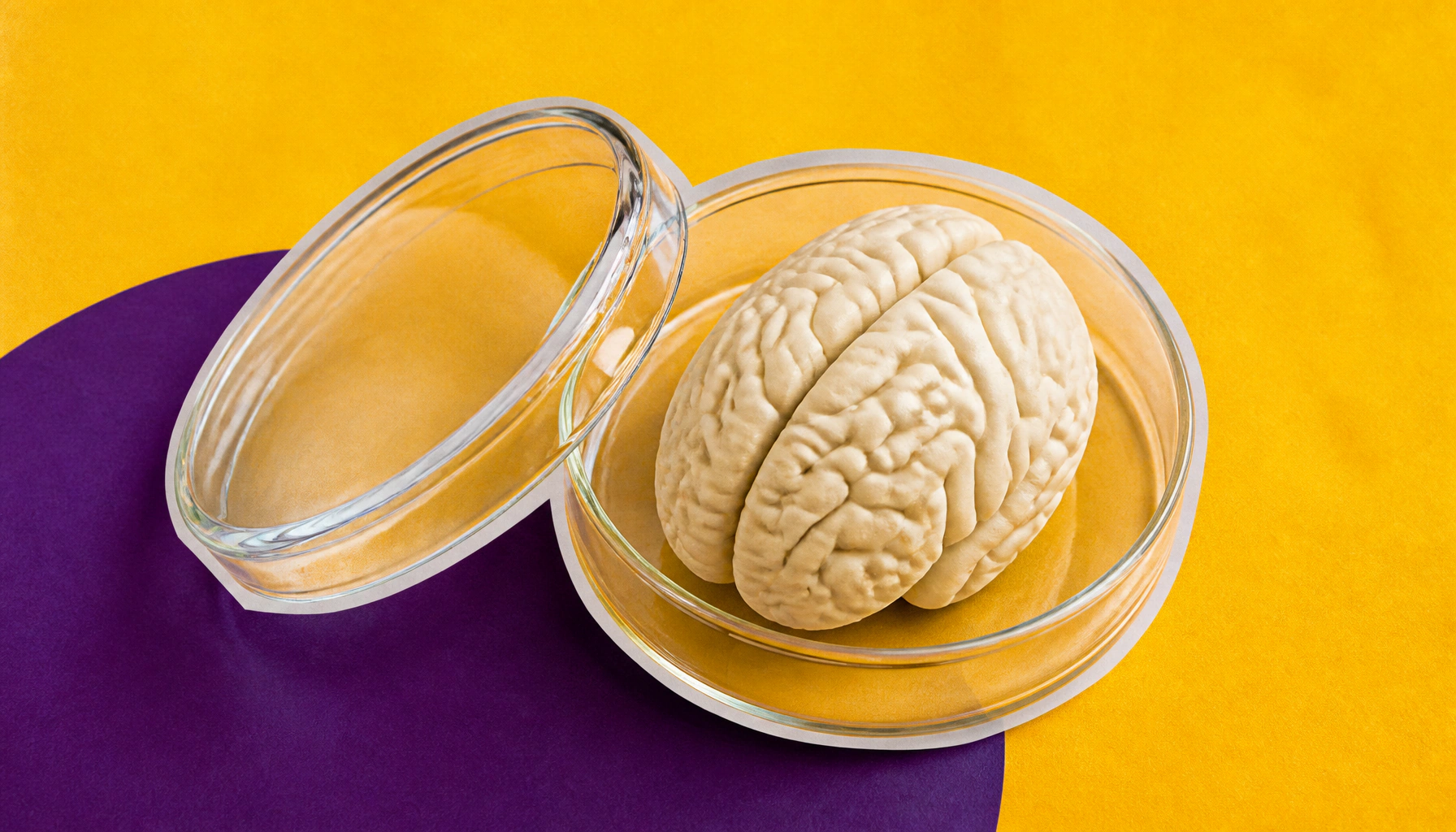 Landmark CRISPR screening method sheds new light on brain development and birth defects