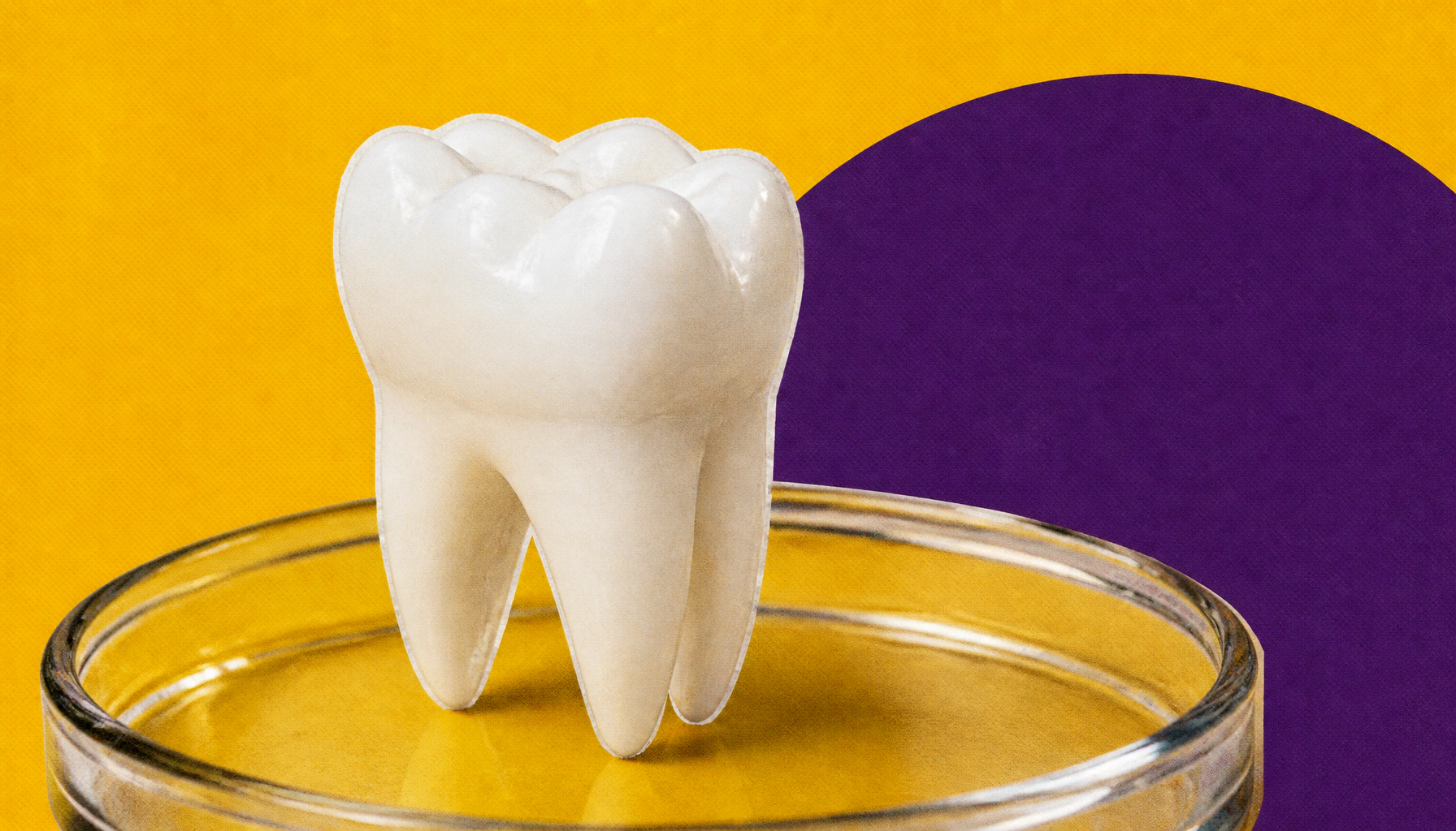 Scientists crack the code on regrowing tooth enamel