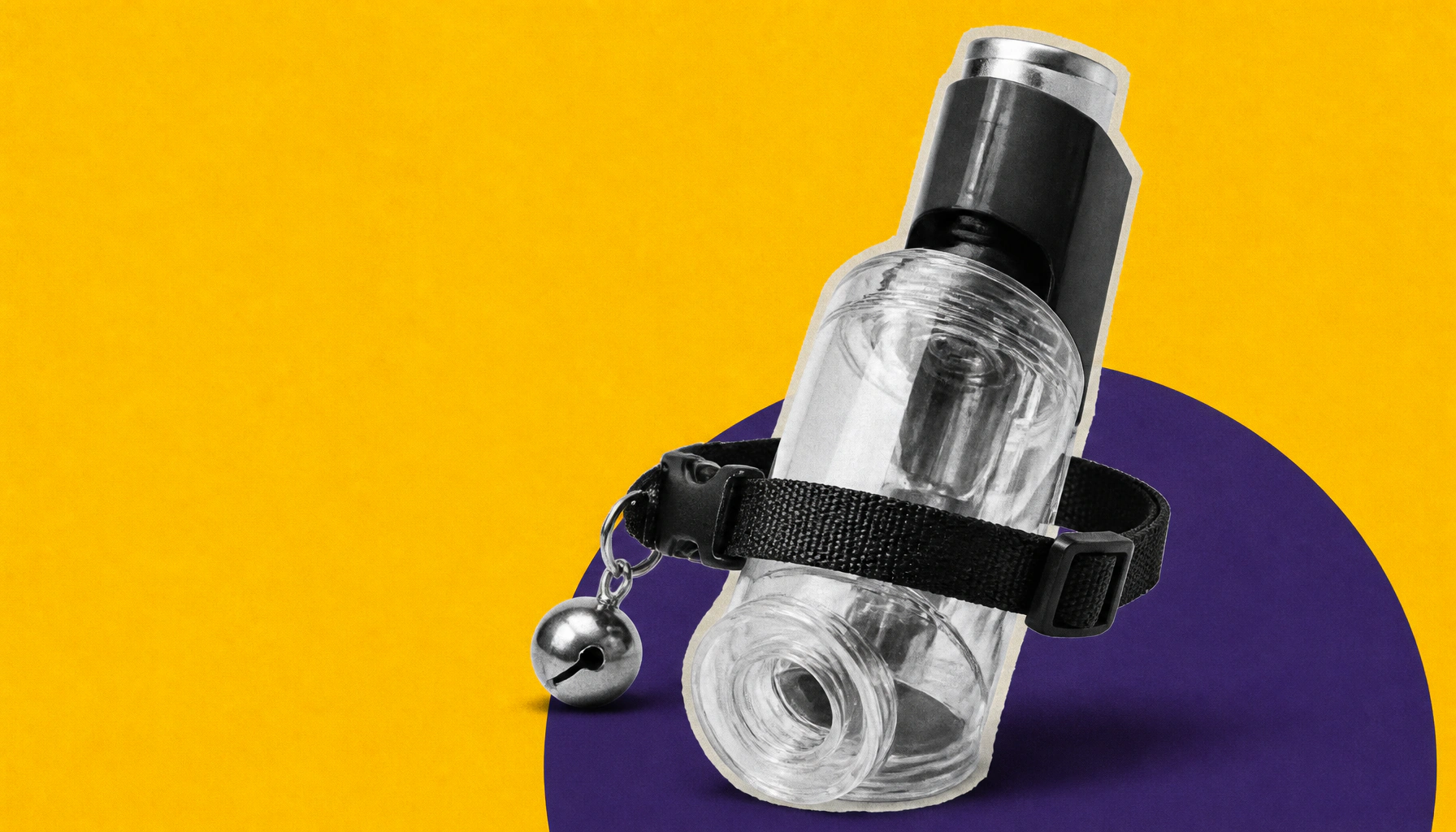 Cats and kids with asthma: not as risky as you might think
