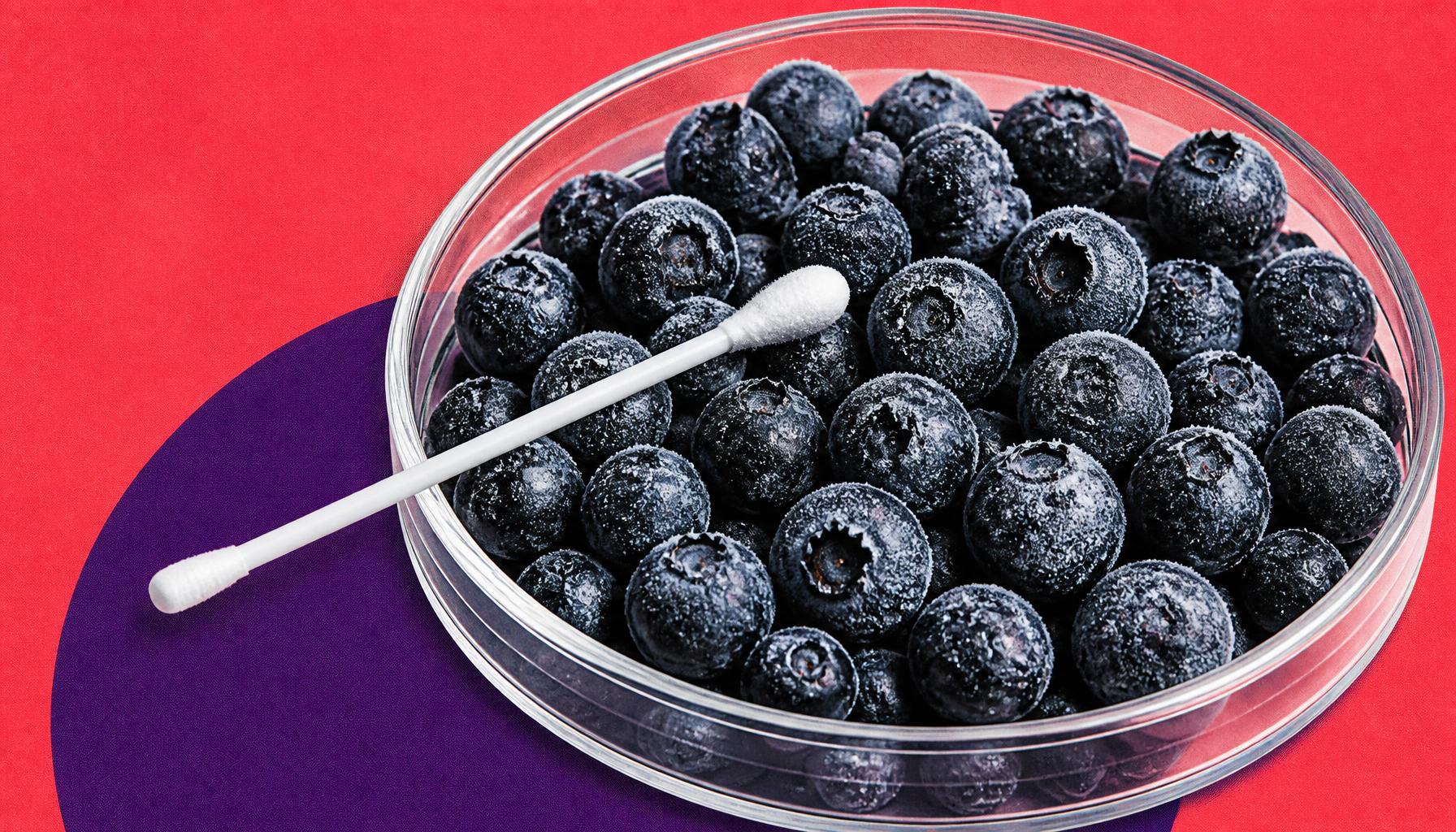 Frozen blueberry recall: E. coli outbreak sickens 12 across two states