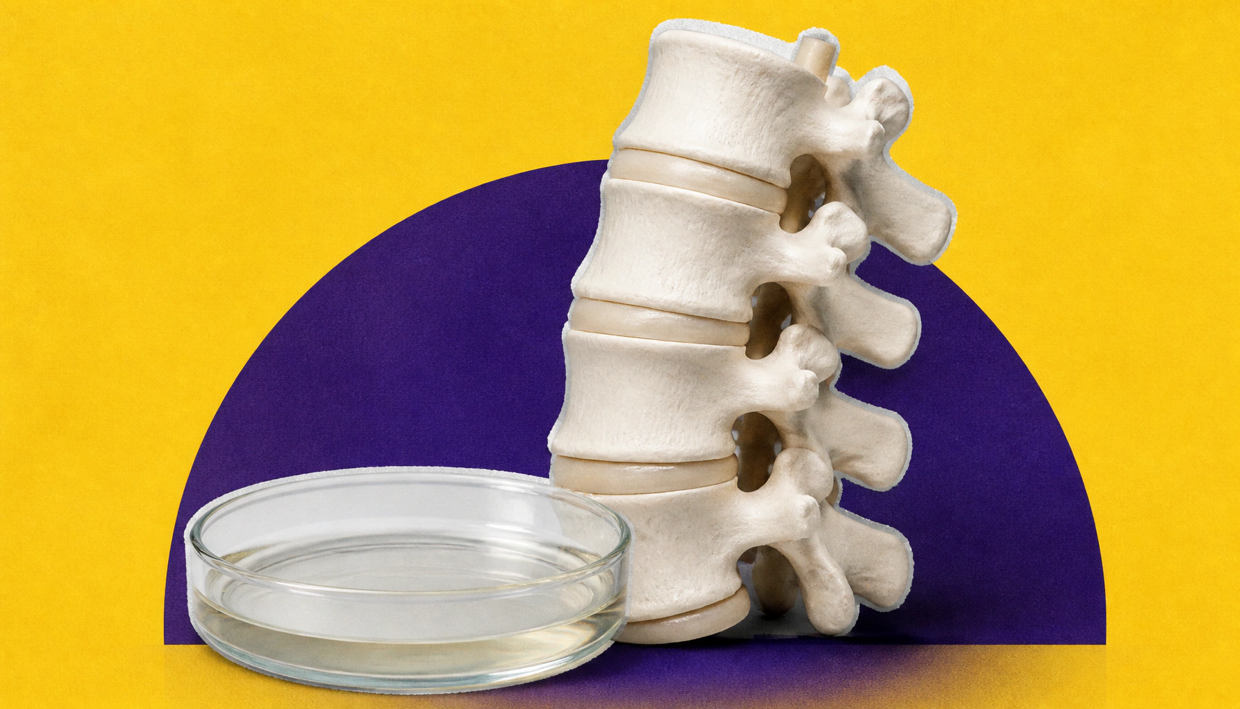 Stem cell therapy could "reboot" damaged spinal cords in chronic injury patients