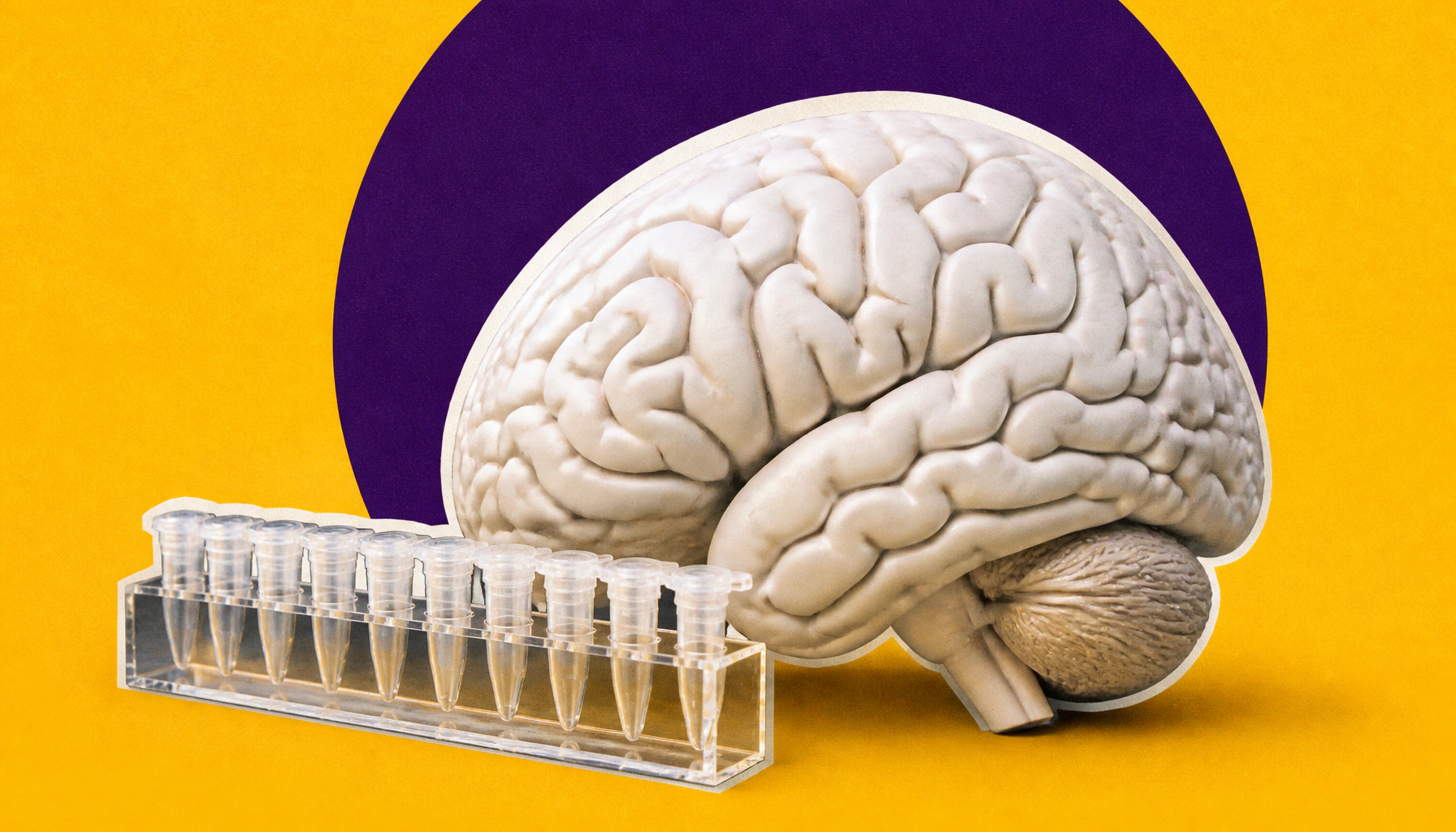 The Alzheimer's protein that secretly builds your memories