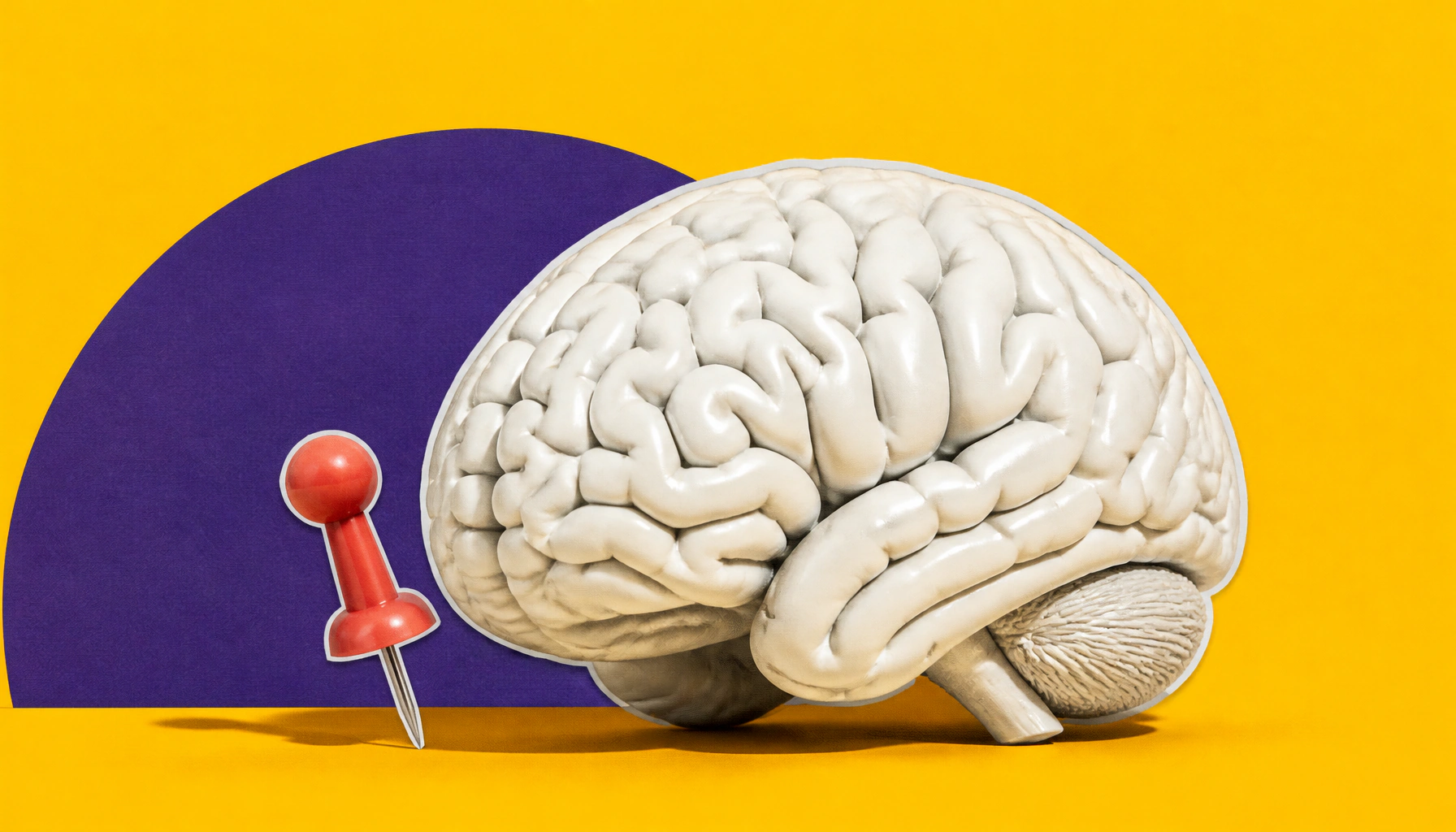 Your zip code may matter as much as your genes when it comes to dementia risk