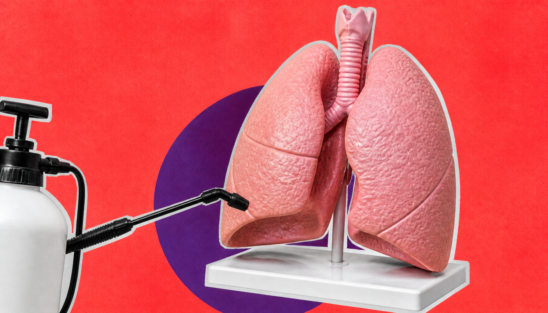 Healthy diets, higher lung cancer risk? Pesticides may be the hidden culprit in young non-smokers