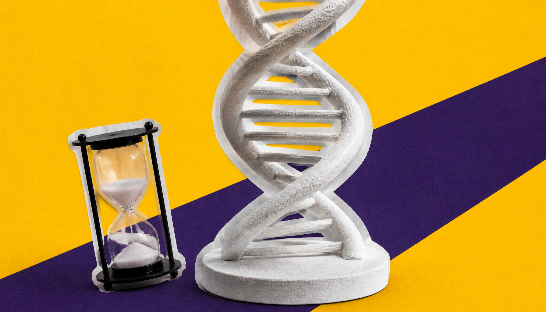 Genes flicker randomly — but it's all part of the plan