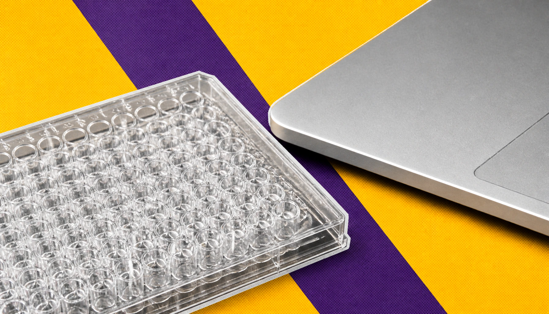 Scientists just mapped what nearly every stem cell gene does — and it's a big deal