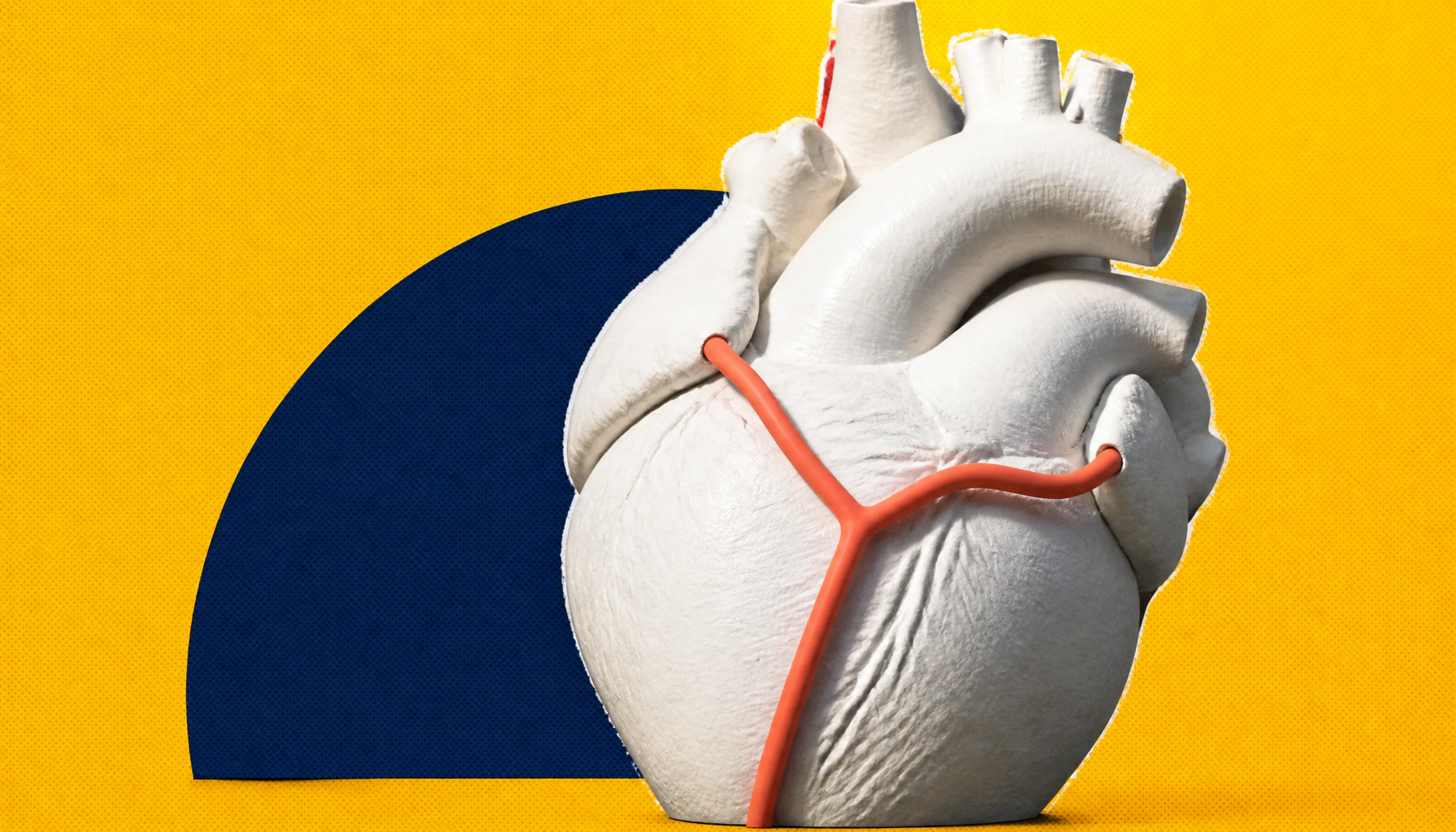 The heart has its own nervous system — and scientists just mapped it