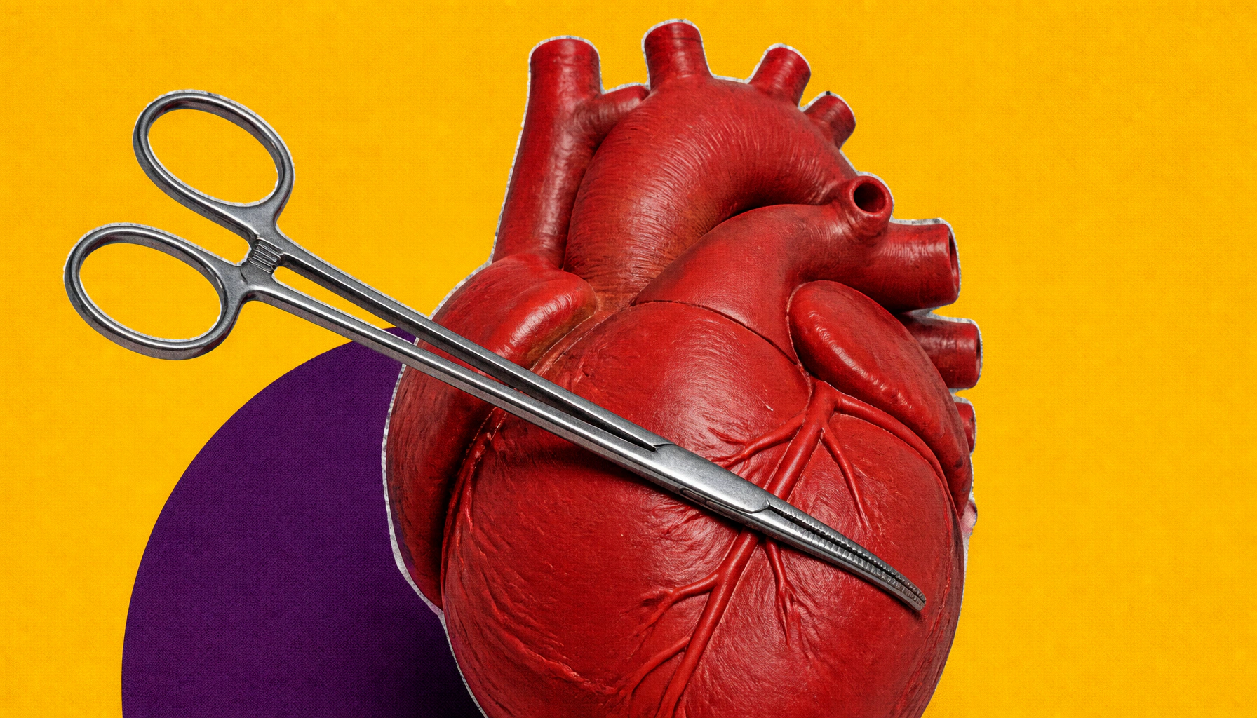 Scientists crack the code on why heart cells resist self-repair