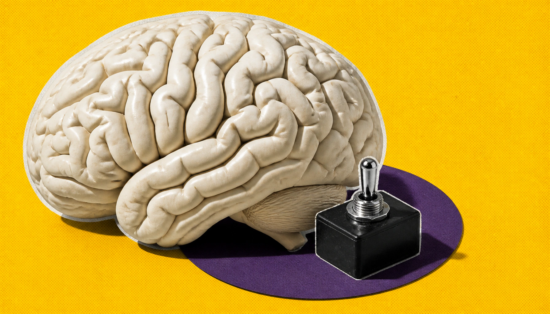 Brain's motivation switch found: Orexin neurons drive the push to keep going