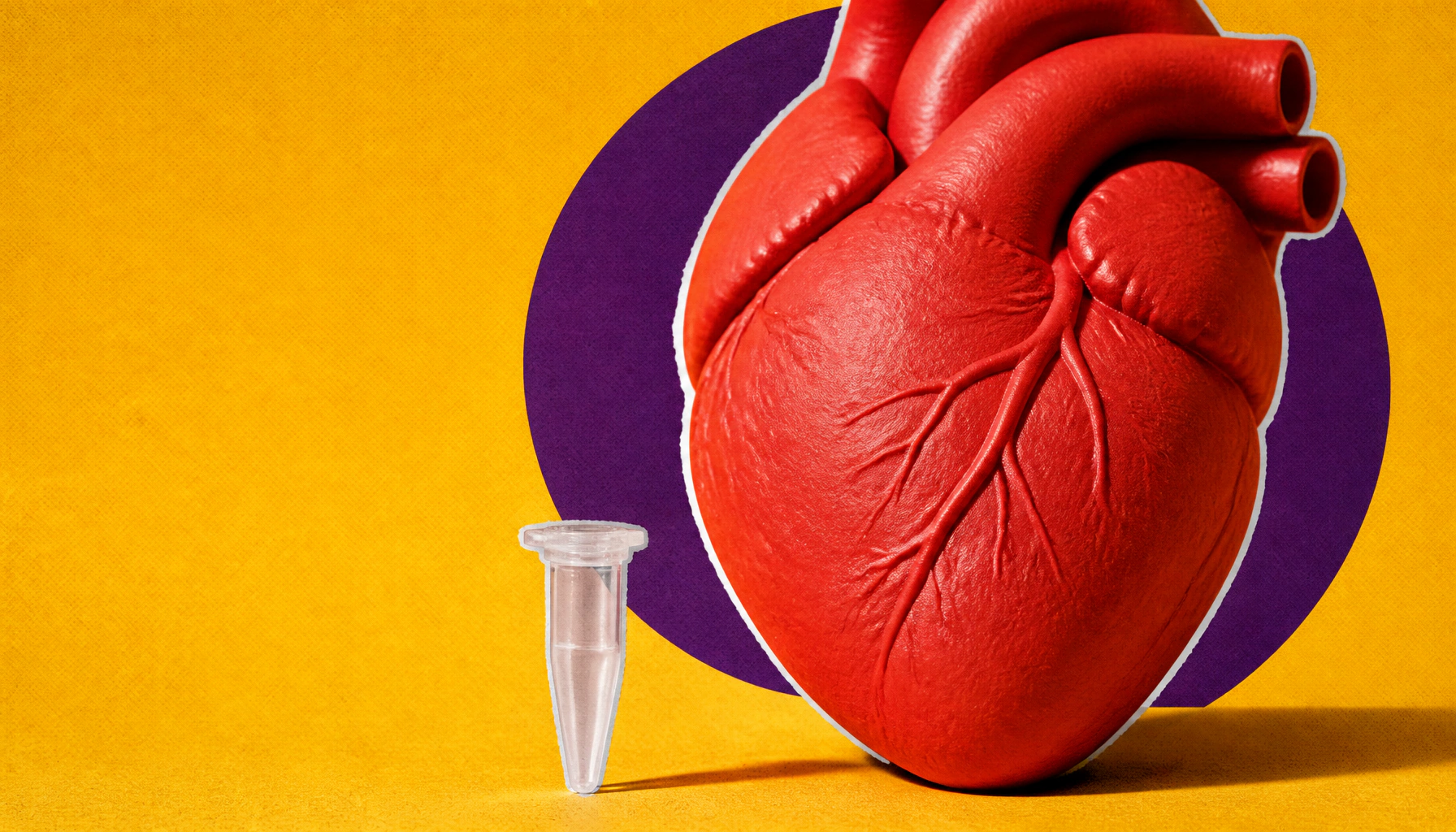 The tiny gene family with a big role in heart, brain, and beyond