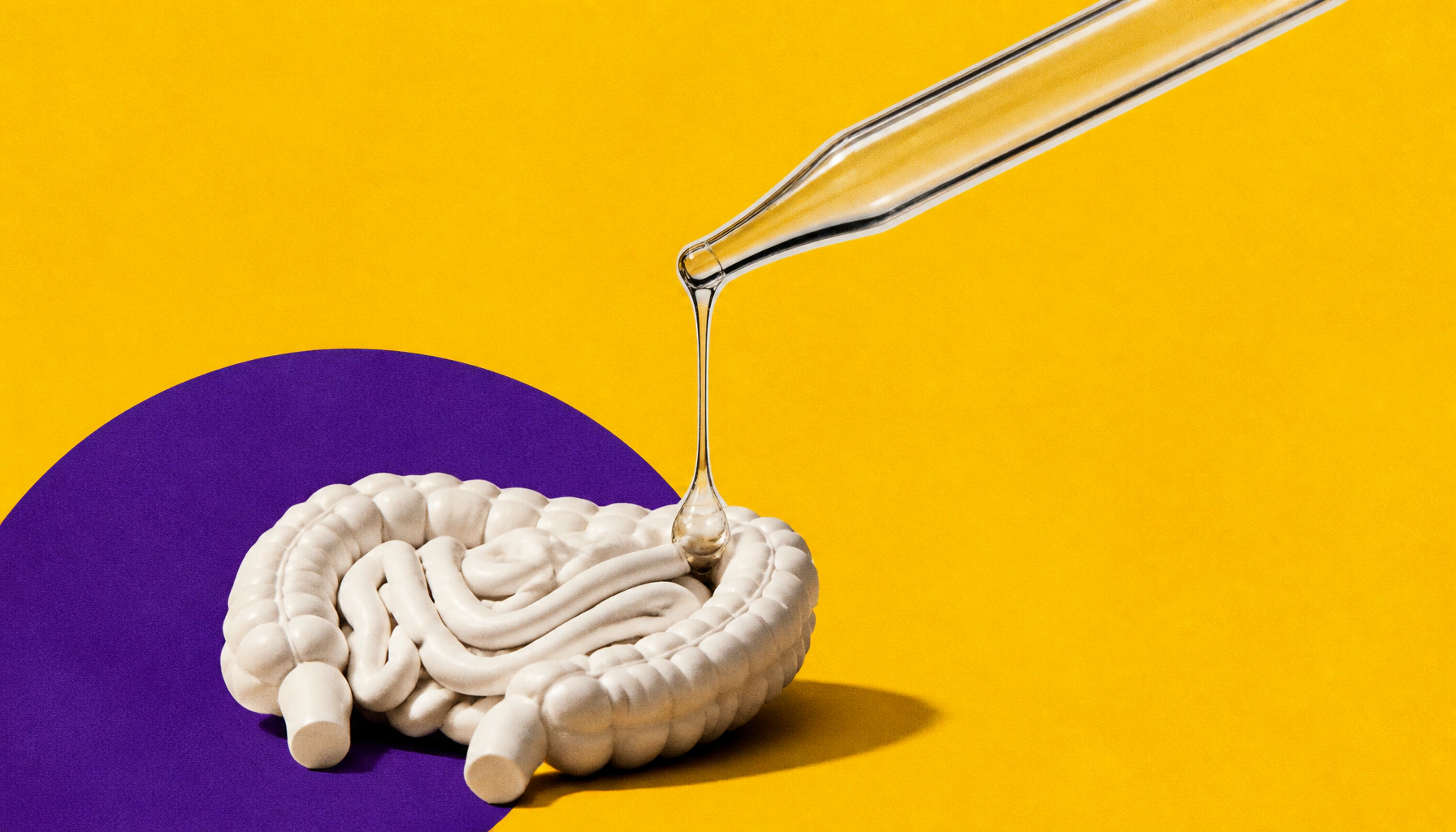 Gut cells don't count nutrients — they feel them