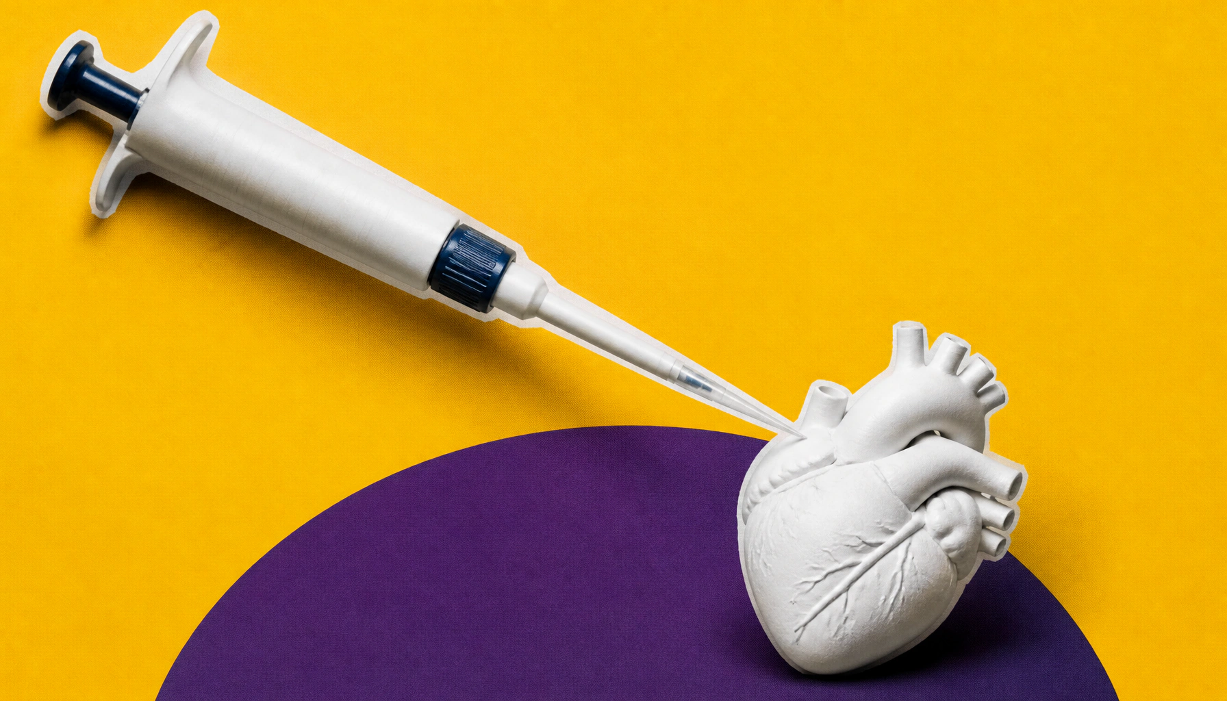 Meet the molecular switch that could unlock heart regeneration