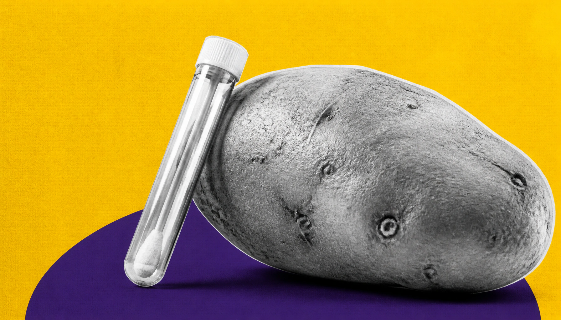 How thousands of years of potato eating rewrote Andean DNA