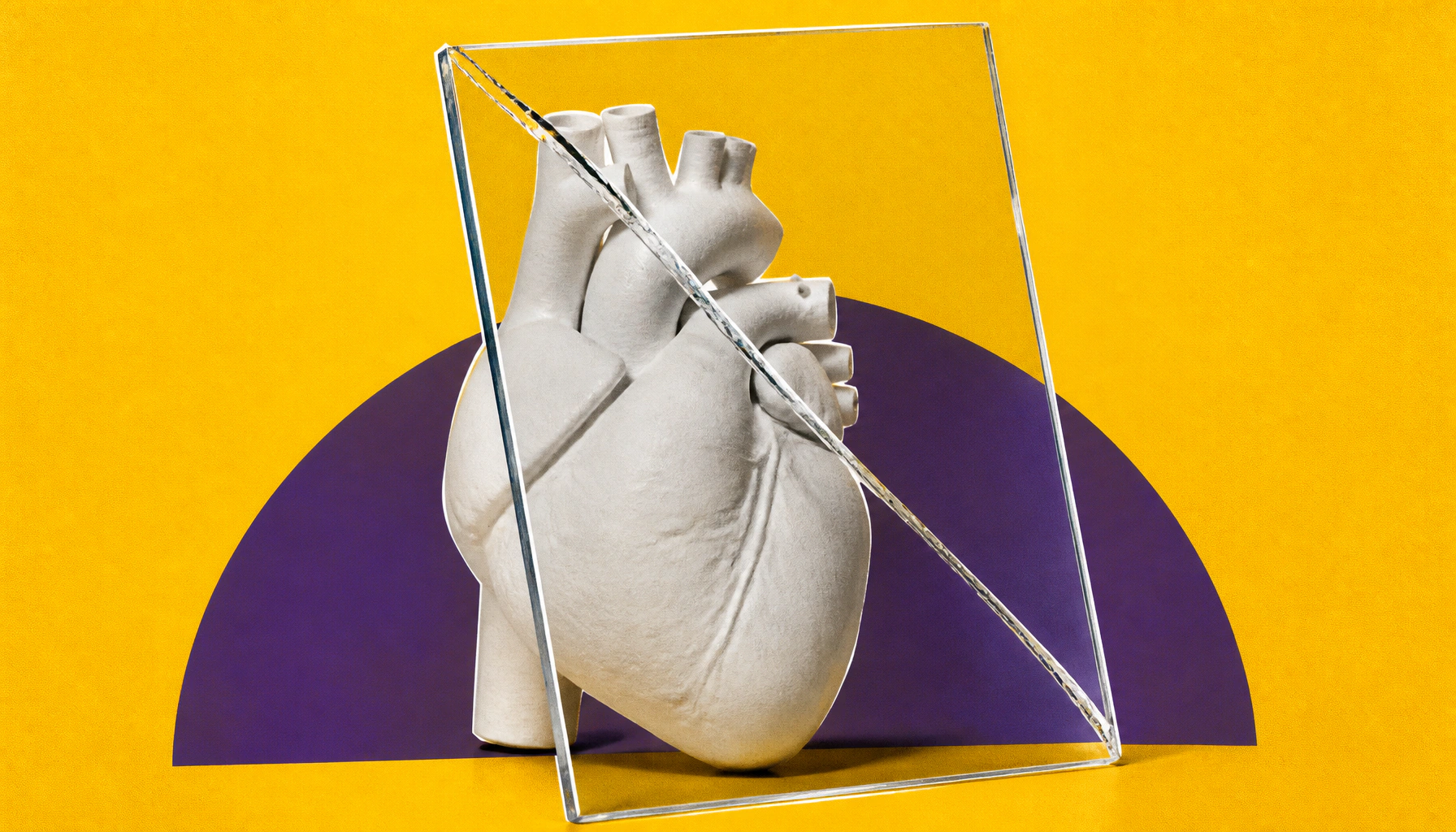 Gene mapping tech reveals hidden complexity in heart transplant rejection