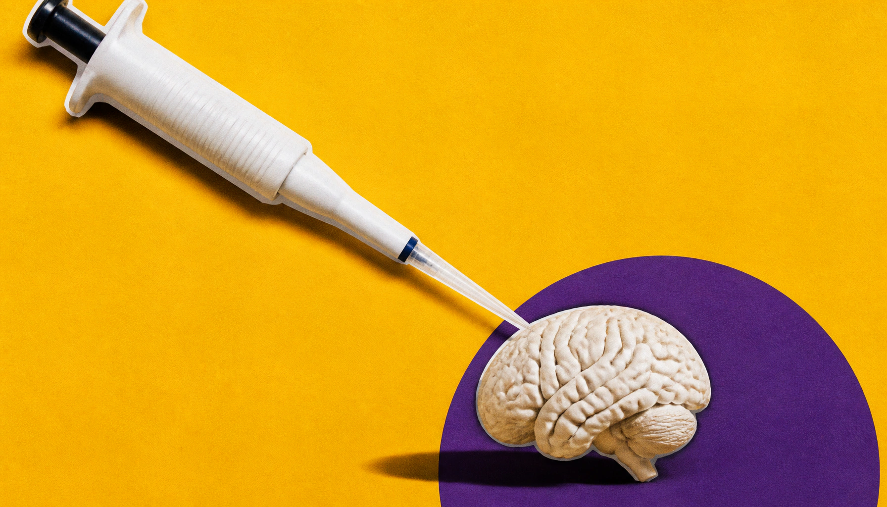 Childhood stress leaves a lasting epigenetic mark on the brain, raising future stress risk
