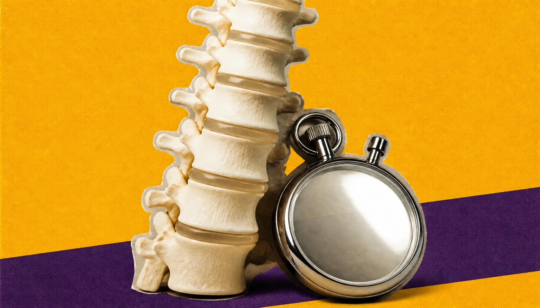 New spinal neuron atlas pinpoints the cells that control how fast you walk