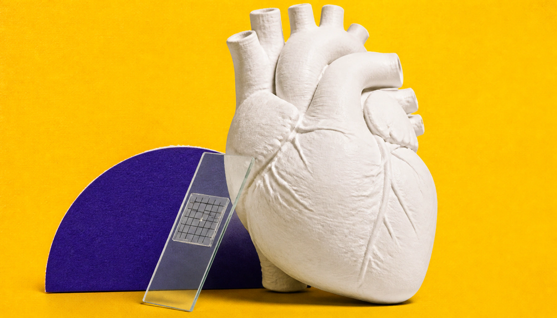 Spatial gene mapping sheds new light on why heart transplants get rejected