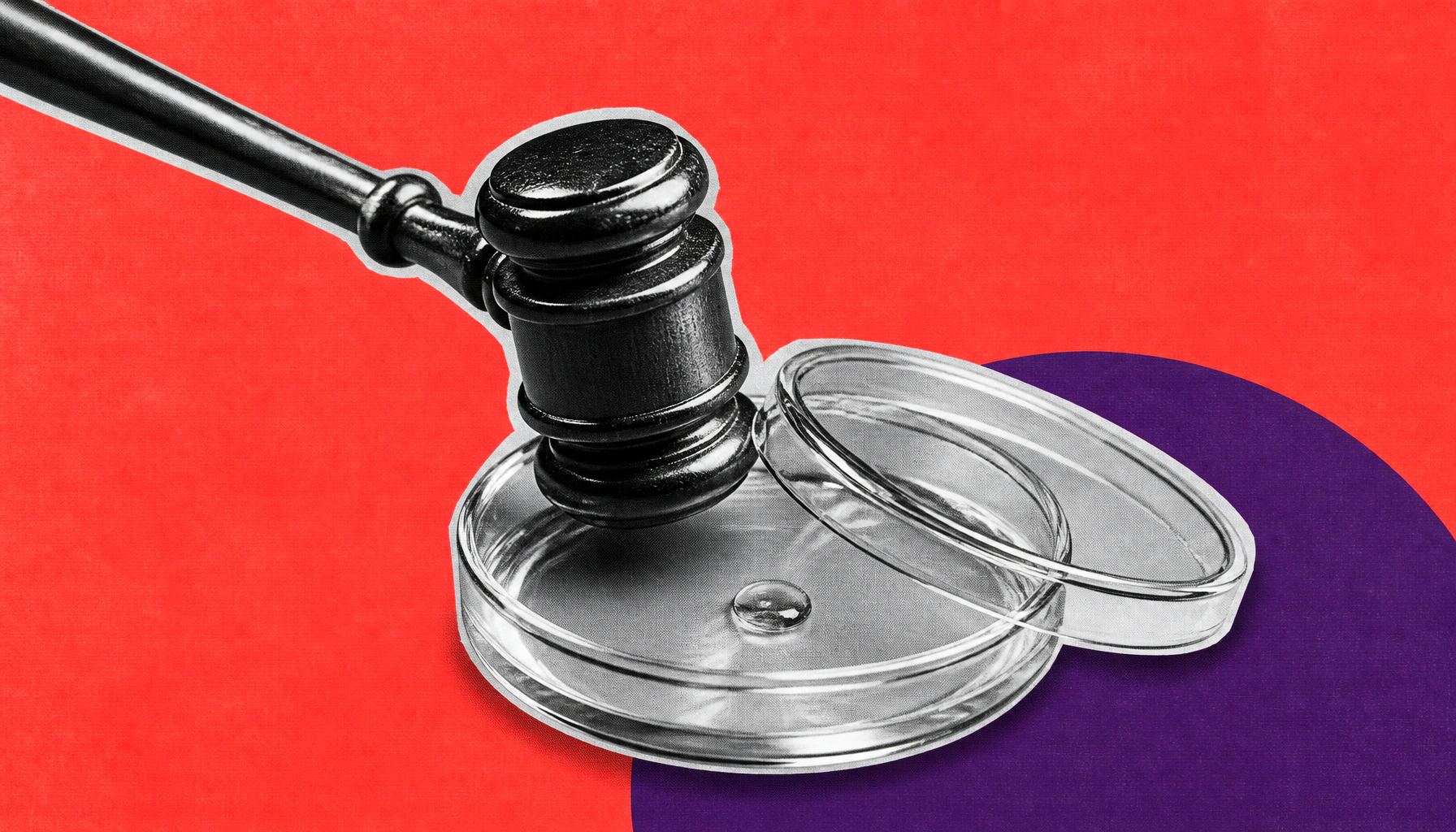 IVF under threat? State "transparency" bills may be laying the groundwork for fertility restrictions