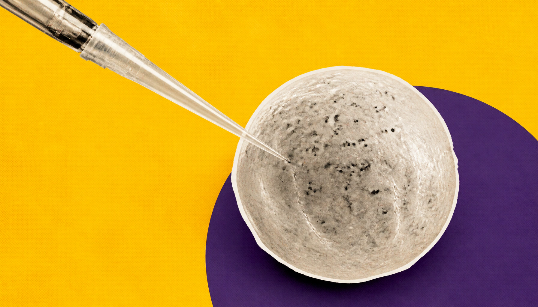 Cornell researchers crack the code on a key cancer protein — and find a surprising accomplice