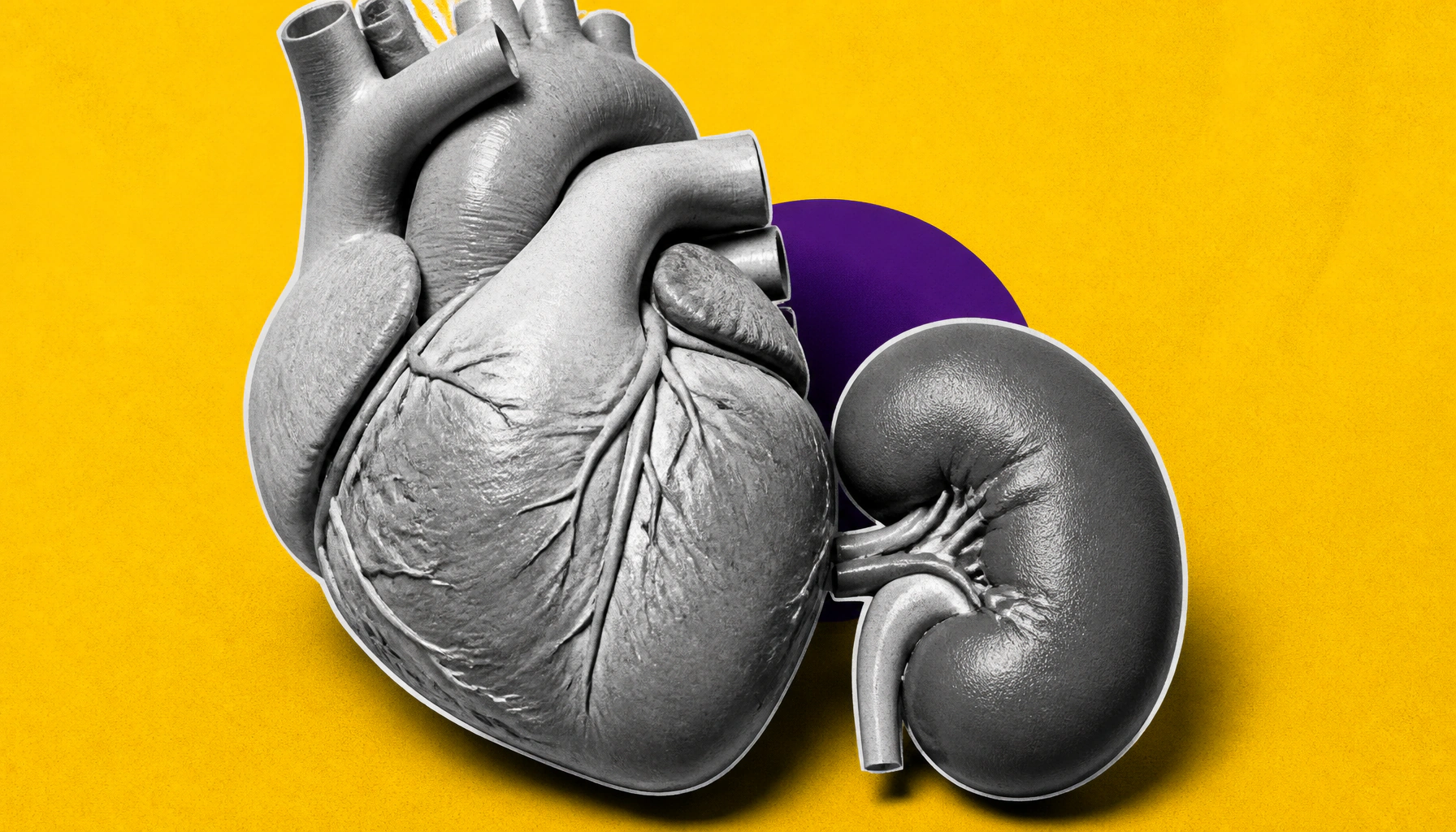 New CKM guidelines push for unified care of heart, kidney, and metabolic disease